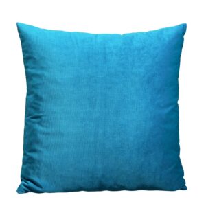 Velours sierkussen Sky Blue Kussenwereld Velours sierkussen sky blue